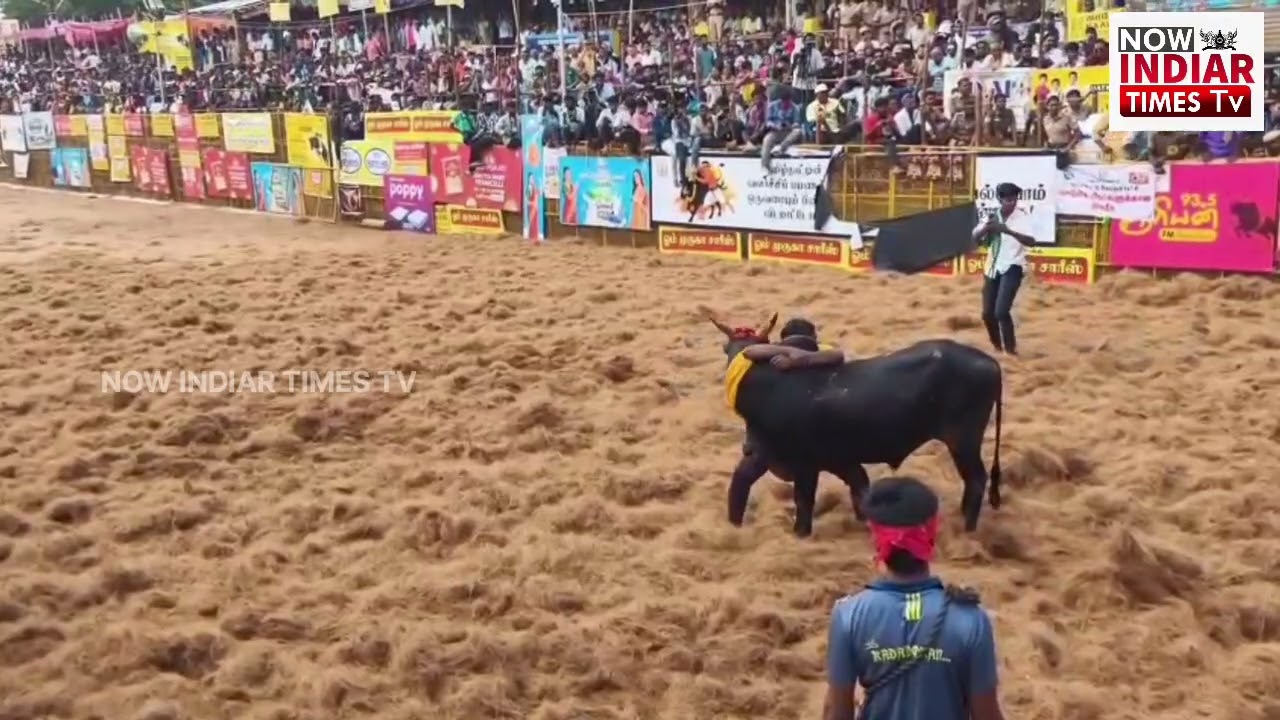 பாலமேடு ஜல்லிக்கட்டு: துணை முதல்வர் உதயநிதி ஸ்டாலின் தொடங்கி வைத்தார்