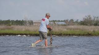 August 5 is Oyster Day
