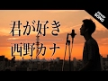 【レノアCM】君が好き / 西野カナ(フル歌詞付)(レノアハピネス TV CM)