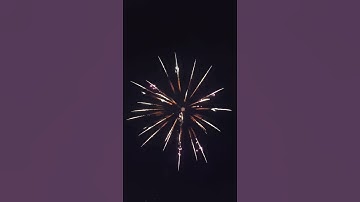 8 inch display shell fireworks (snow effect)