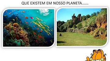 O que é o ambiente aquático?