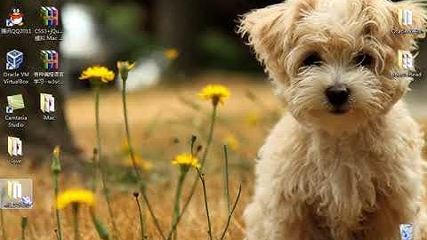 43小甲鱼 Delphi7界面设计02   零基础入门学习