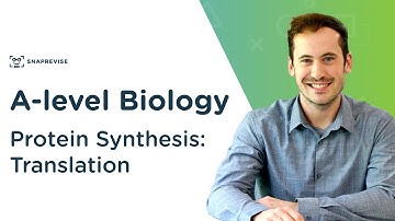 Protein Synthesis: Translation | A-level Biology | OCR, AQA, Edexcel
