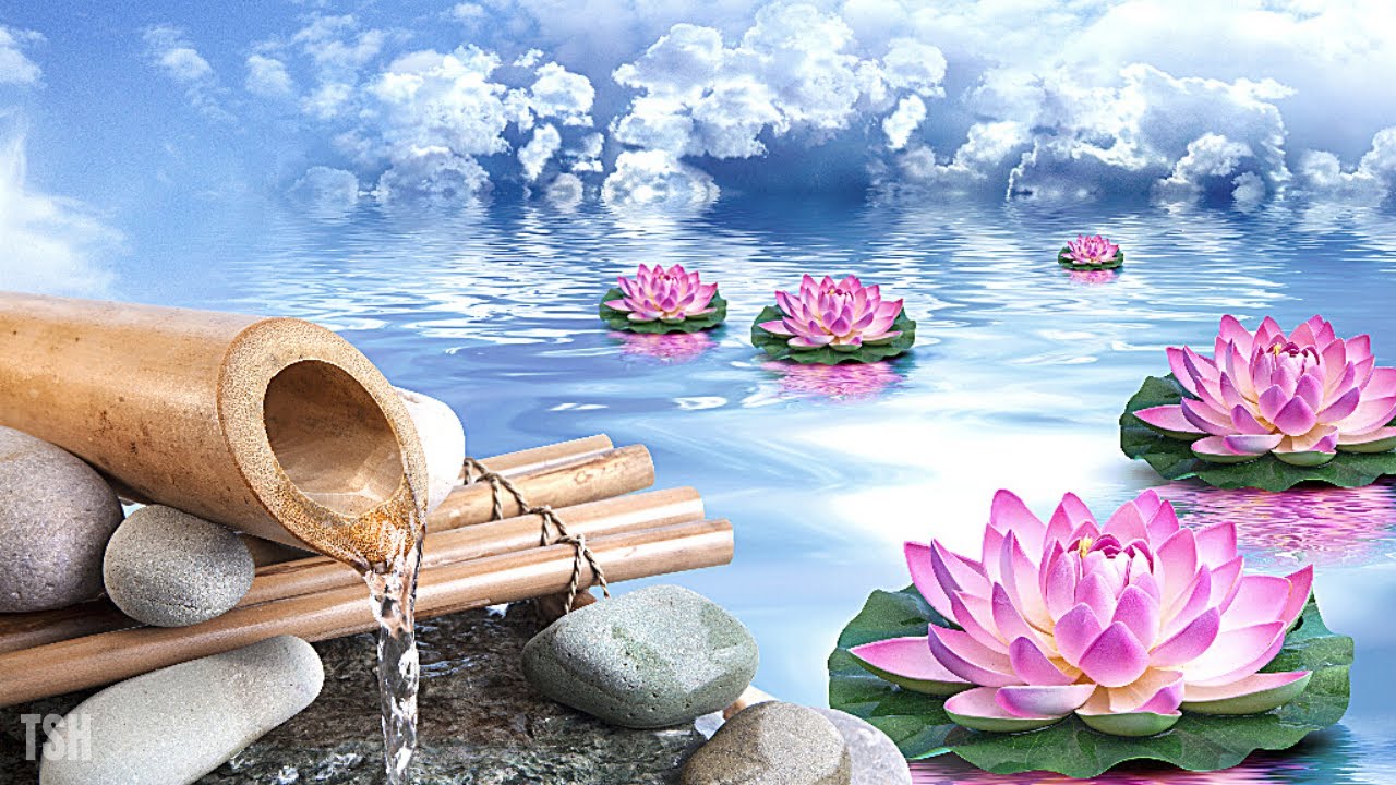 OVARIAN CLEANSE PCOS DISSOLVE OVARIAN CYSTS FLUSH OUT DERMOID CYST POST