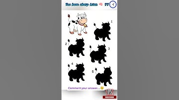 Matching shadow Puzzle - 2#puzzle #games #mindspotters #brainteasers #mindgames #fun #challenge
