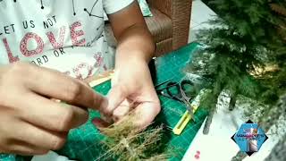 How to Make Ultra Realistic Pine Trees