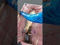 ПОДВОДНАЯ СВИНКА!!😅🤣КАРП 13,5 КГ!!!!!!