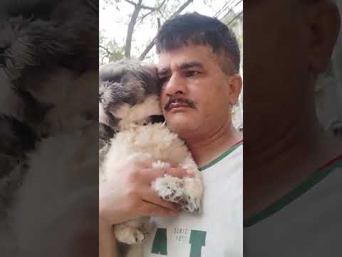 कुक्कू गया घूमने