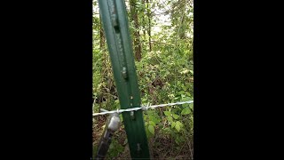 How to install T-Post Clips.  Is there a right or wrong way?