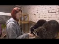 Raccoon Cafe in Kharkiv Becomes Safe Haven for Ukrainians