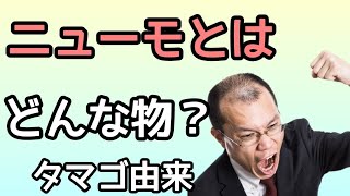 【ニューモは発毛にどうなの？】東京都 目黒区　港区　抜け毛　抜け毛予防　抜け毛対策　薄毛　薄毛予防　薄毛改善　抜け毛治療　薄毛治療 発毛 発毛治療　AGA  育毛剤　ハゲ ハゲ治療/原町発毛院