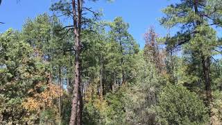 Varieties of Hellsgate Wilderness Experiences