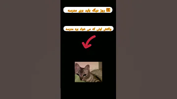 بله دیگه 