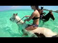 Cayman Islands Horseback Riding (Swimming Horses)