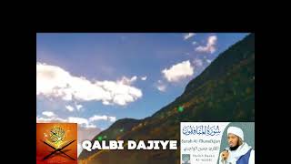 شاهد لتجد الراحة في القرآن سورة المنافقون (كاملة)❤️❤️ 🌹 | القارئ الشيخ حسن الواجدي