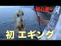 釣り初心者の友人にエギングを教えてみた結果… 編