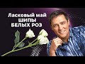 Юрий Шатунов и Ласковый Май - Уникальные концертные записи. Помним любим!
