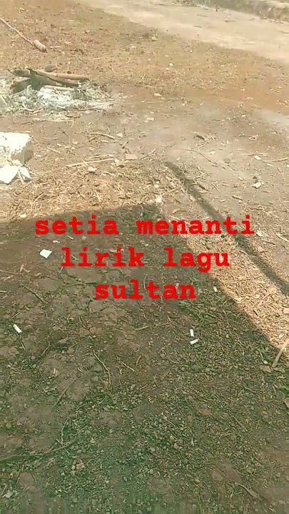 setia menanti# lirik lagu sultan# video short#