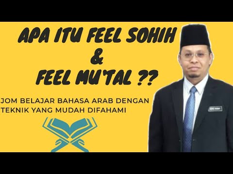 Video: Apakah itu felt?