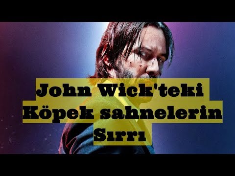John Wick 3'teki Köpekli Sahnelerin Sırrı Ortaya Çıktı