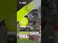 Trust Nutri-Calm for calm, focused performance