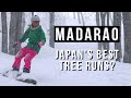 Home of Japan's Best Powder Tree Runs? 🌲 Madarao Ski Resort Guide 🏂🏻