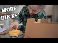 I ordered ducklings online and this was my experience  metzers farm review