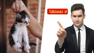 5 أشياء لا تفعلها عند إحضار قط للبيت