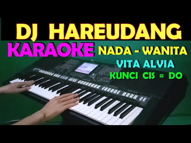 DJ HAREUDANG/NESTAPA - Vita Alvia | KARAOKE NADA WANITA || LIRIK,HD class=