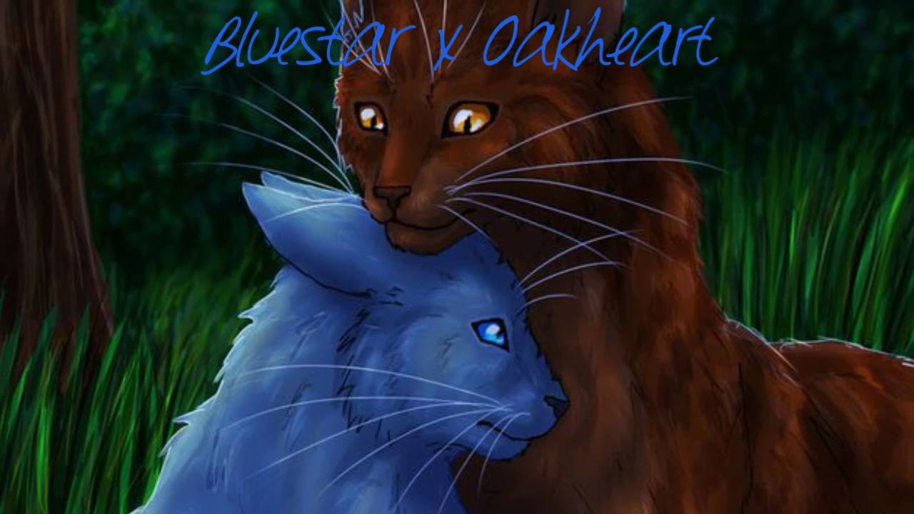 My Top Ten Favorite Warrior Cat Couples! YouTube