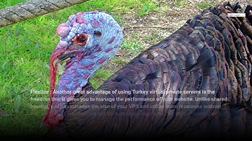 Best Turkey VPS Provider - Istanbul, Izmit, bursa, Ankara, Antalya IP in 2021  | by TheServerHost