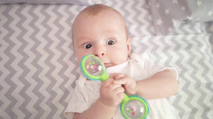 What is Perception-Action?