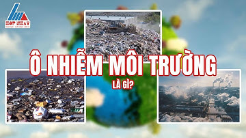 Ô Nhiễm Môi Trường Là Gì? Cách Khắc Phục Tình Trạng Ô Nhiễm Môi Trường