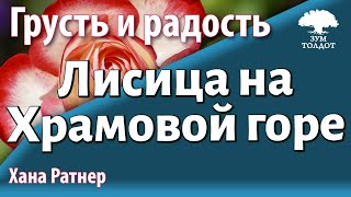 картинка: Урок для женщин. Грусть и радость, лисица на Храмовой горе. Хана Ратнер