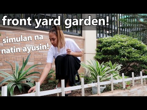 Video: Pagtanim Ng Thuja Kasama Ang Bakod (16 Na Mga Larawan): Sa Anong Distansya Kailangan Mong Magtanim Ng Thuja? Mga Ideya Sa Disenyo Ng Bakuran Para Sa Isang Paninirahan Sa Tag-init A