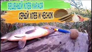 видео: Рыбалка на поплавок Бешеный клев карася на серый хлеб с чесноком рыбалка осенью картинка: Рыбалка на поплавок Бешеный клев карася на серый хлеб с чесноком рыбалка осенью