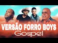 SELEÇÃO GERSON RUFINO E MATTOS NASCIMENTO VERSAO FORRO BOYS SELEÇAO OS LEVITAS VERSAO FORRO BOYS 202