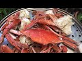 How to Steam Blue Swimmer Crabs