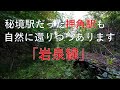 【廃線跡】みんな大好きっ!岩泉線(茂市~岩泉)廃線跡、駅跡巡り