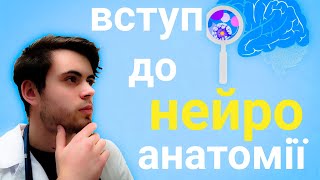 Нервова система. Класифікація