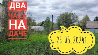 Не можем посадить картошку/Навели бардак на даче#огород#влог#дача#село#сибирь#жизнь#я#томаты#мусор