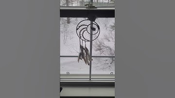 Hti Summer Day3) Solifax. Simdif. Com/index. Html A MoonTube dance this Doubly Doll Radio!!! James.