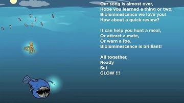 Glowing in the Ocean