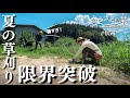 【限界です】暑さに疲弊…夏の古民家は草だらけ!ひたすら草を刈った1日|田舎暮らし056