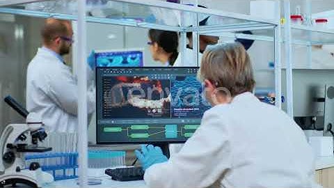 Medical Research Scientist Typing Codes on Computer | Stock Footage - Envato elements