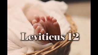 लेवी 12 | सुत्केरीको शुद्धीकरण  | Nepali Audio Bible - Leviticus 12