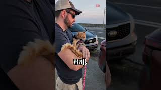 Thumbnail for Последний Закат Кота Макса...