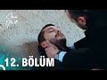 Son Yaz 12 Bölüm HD Son Yaz 12 Bölüm HD
