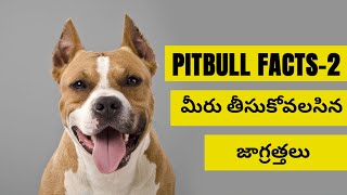 Pit Bull Dogs Interesting Facts | తెలుగులో