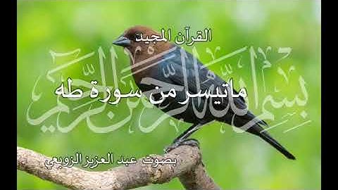 ما تيسر من سورة طه بصوت عبد العزيز الزوبعي  décembre  2021